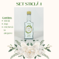 Set sticla 1