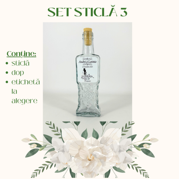 Set sticla 3