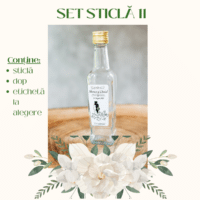 Set Sticla 11 200x200