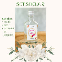 Set Sticla 2 Flask 200x200