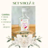 Set Sticla 2 Flask 200x200