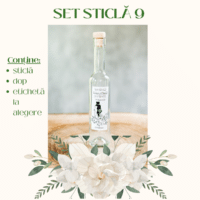 Set Sticla 9 200x200