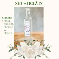 Set Sticla 12 200x200