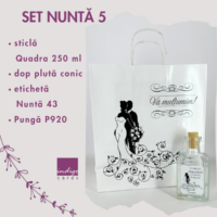 Set Nunta 5 Nou 200x200