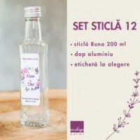 Set Sticla 12 200x200
