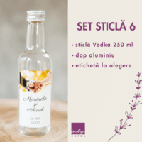 Set Sticla 6 200x200