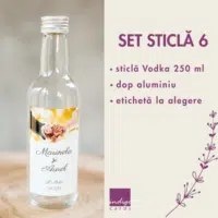 Set Sticla 6 200x200
